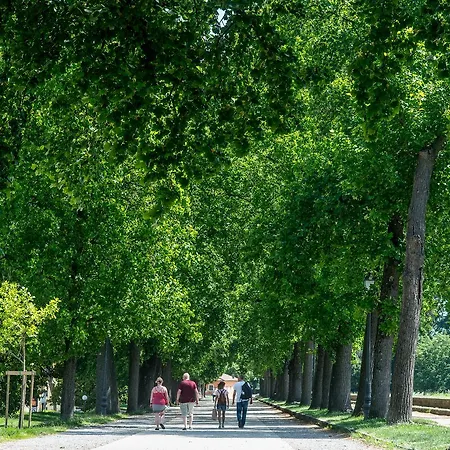 Residenza Di Via Fontana 4* Lucca
