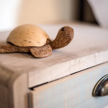 Residenza Di Via Fontana Bed & Breakfast Lucca